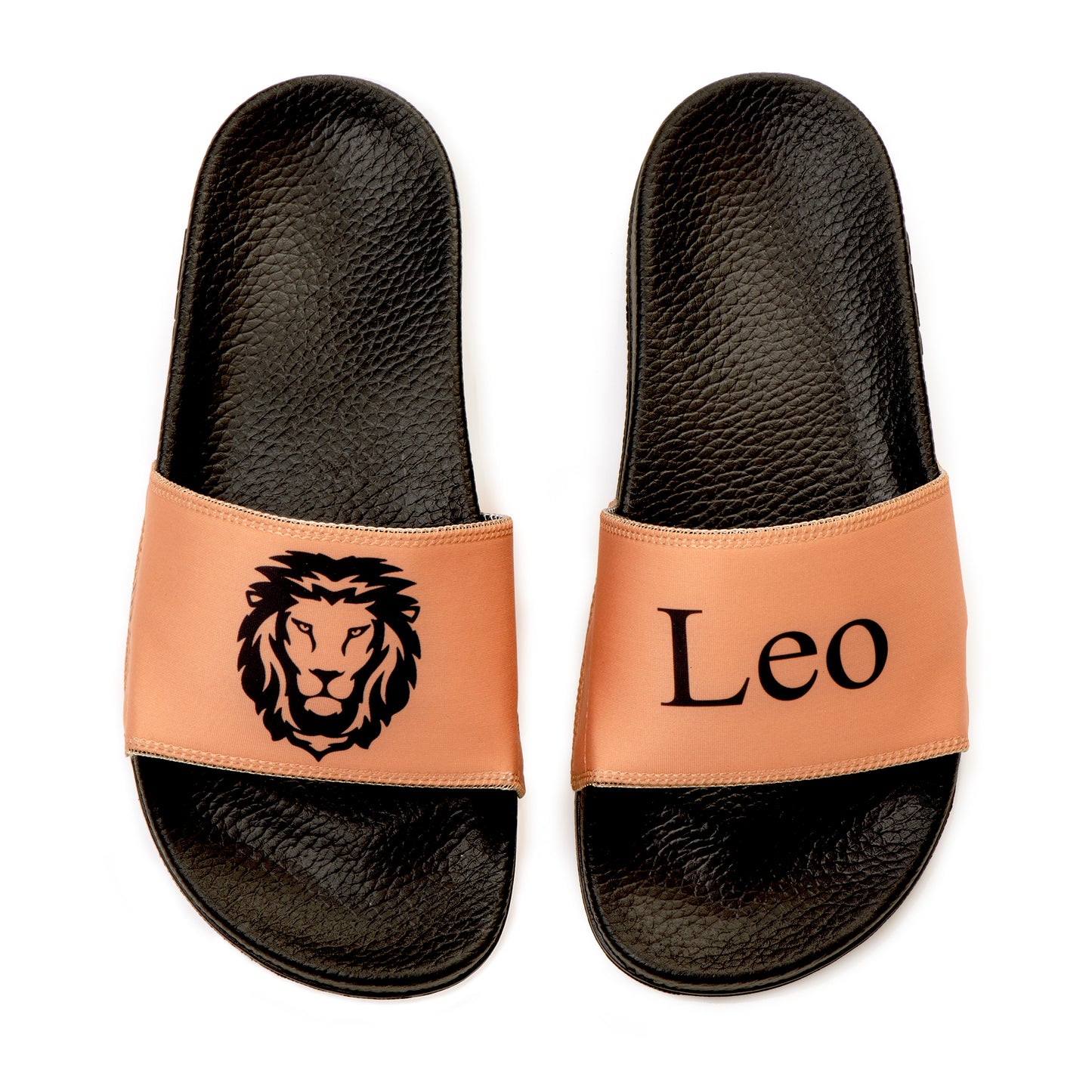 Leo Zodiac Slides