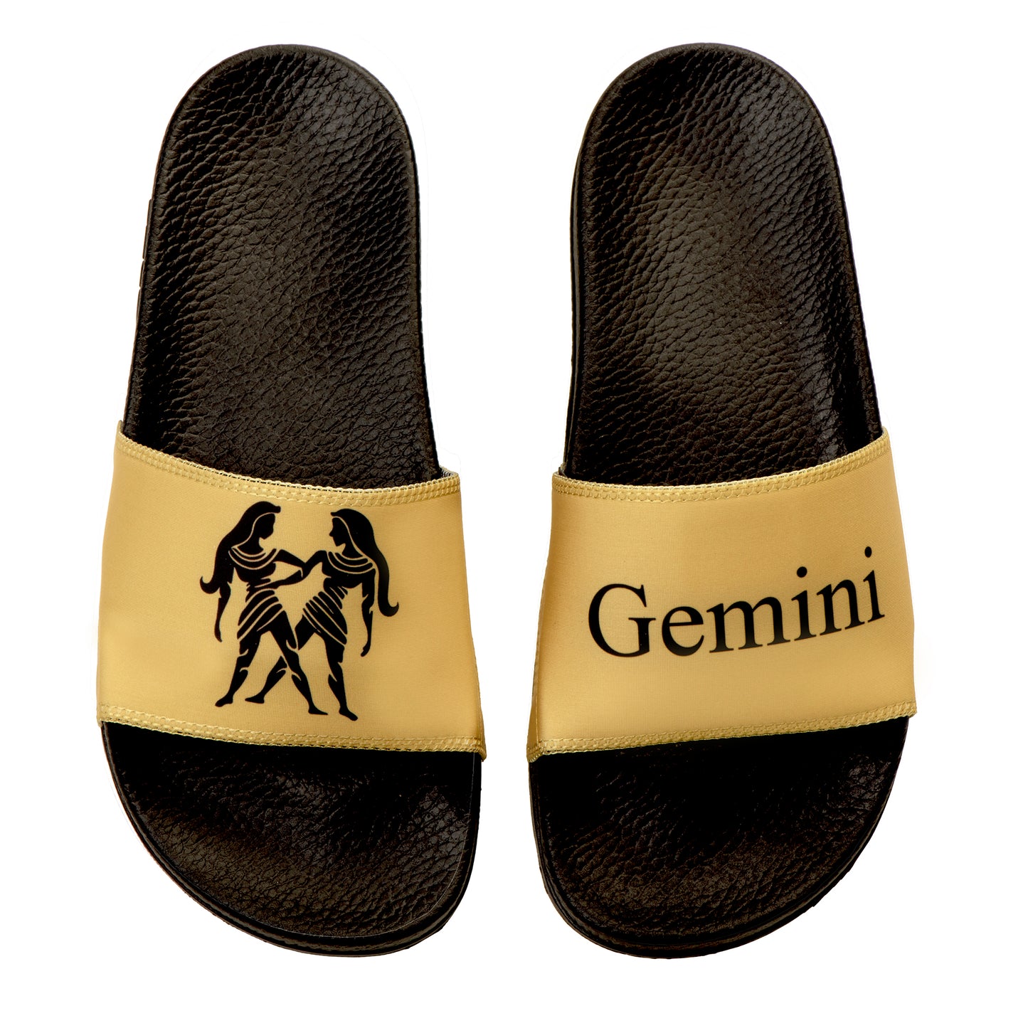 Gemini Zodiac Slides