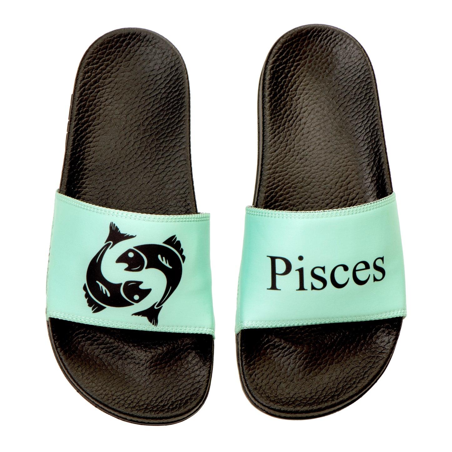 Pisces Zodiac Slides